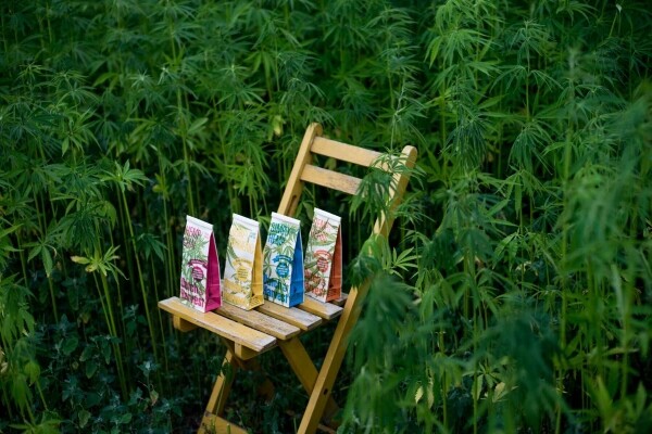 Hemp & Turmeric - Hemp & Turmeric Tea 50g - Dutch Harvest Loose Tea