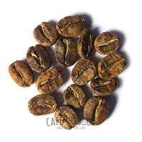 Koffiebonen in de geel/bruine fase