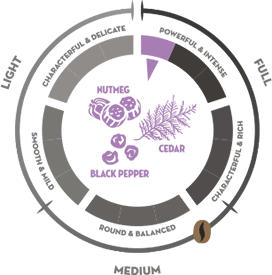 Piazza d'Oro Intenso Taste Navigator